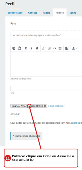 Aba Público com botão para associar o ORCID